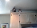 cabinet cats